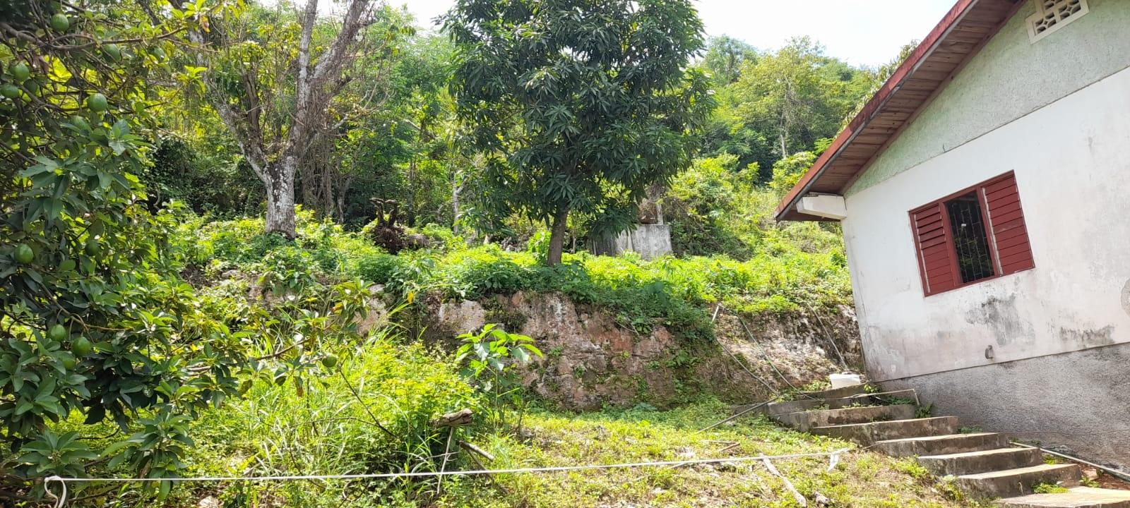 Twenty-Eighth image of Huntley - Browns Town in Browns Town, St. Ann, Jamaica - property is For Sale