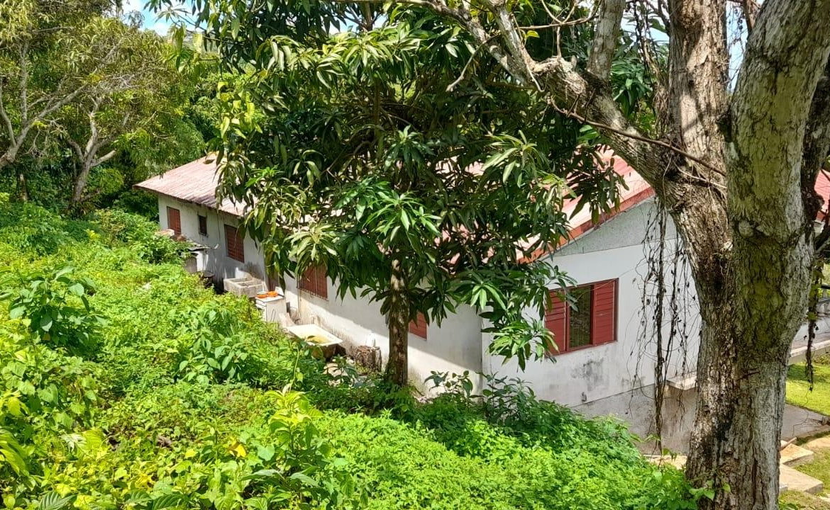 Seventh image of Huntley - Browns Town in Browns Town, St. Ann, Jamaica - property is For Sale