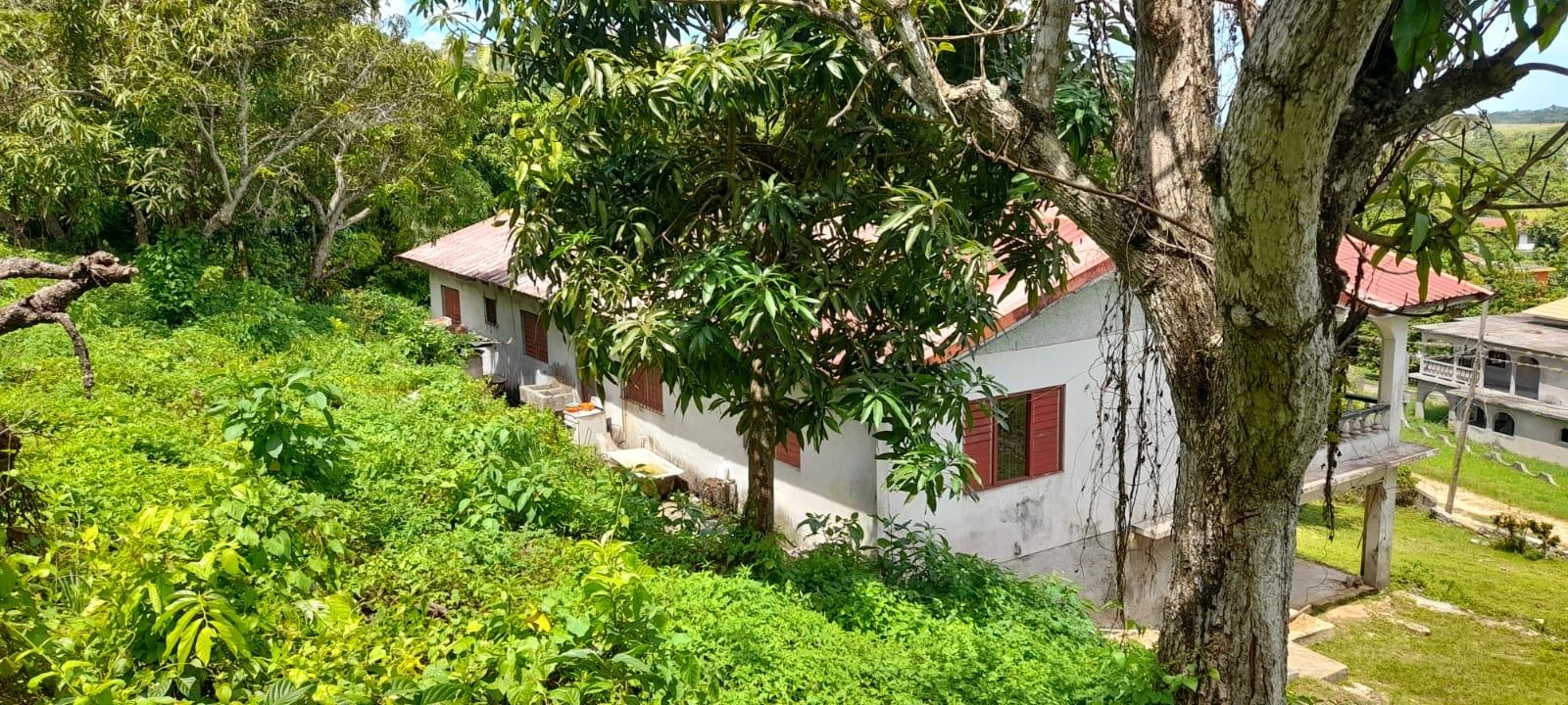 Seventh image of Huntley - Browns Town in Browns Town, St. Ann, Jamaica - property is For Sale