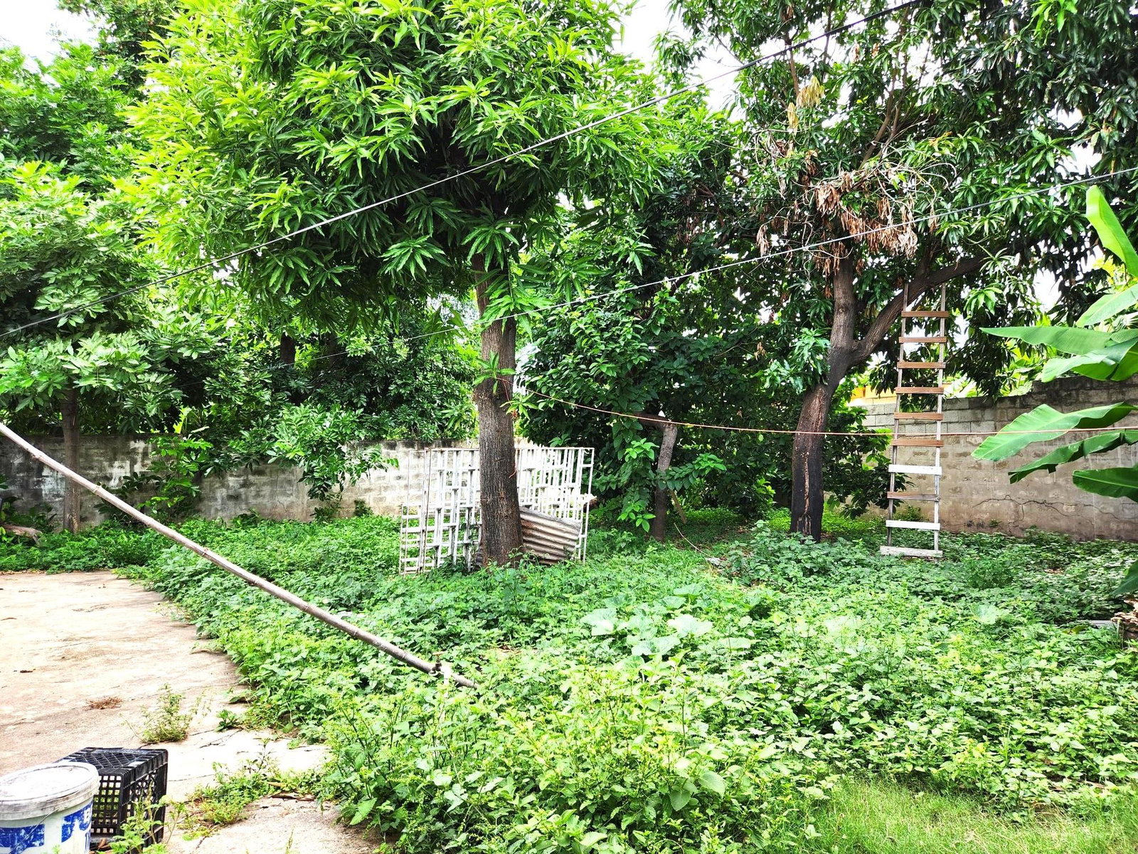 Spacious-5-Bedroom-Home-for-Sale-in-Cassia-Park-St.-Andrew Ninth image of 7 Huntsdene Avenue in Kingston 10, St. Andrew, Jamaica - property is For Sale
