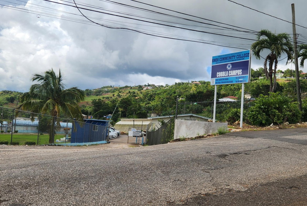 Eleventh image of Lot 104 Mimosa Drive, Glencoe, sp in Walderston, Manchester, Jamaica - property is For Sale