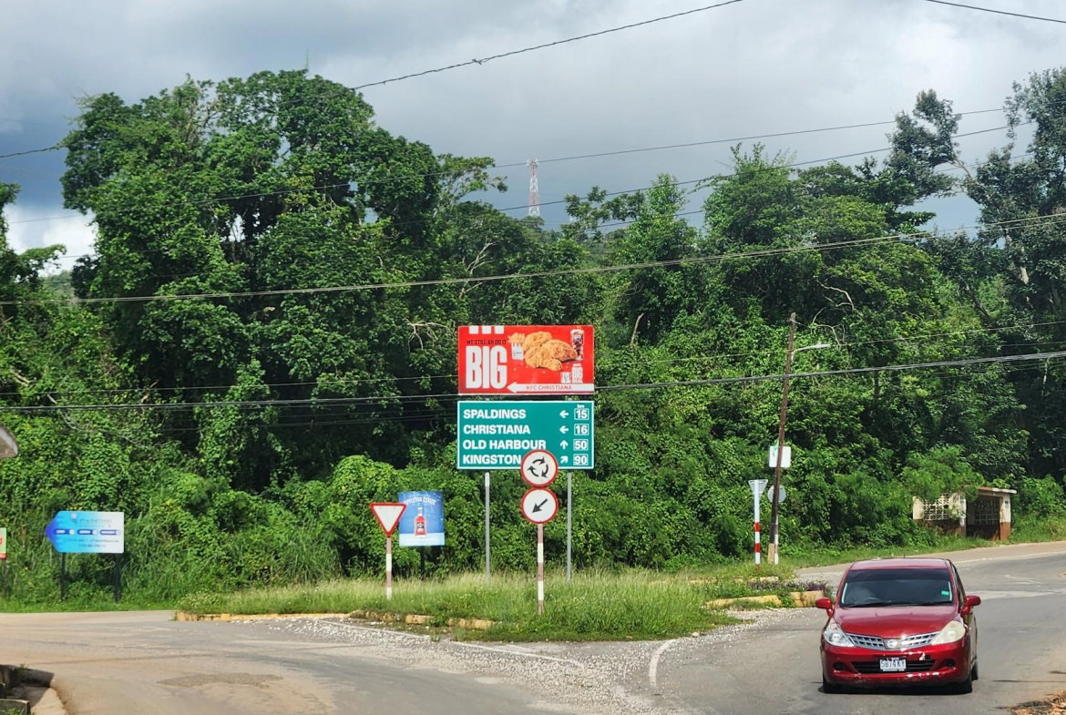 Thirteenth image of Lot 104 Mimosa Drive, Glencoe, sp in Walderston, Manchester, Jamaica - property is For Sale