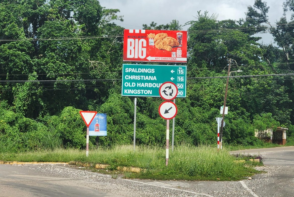 Fourteenth image of Lot 104 Mimosa Drive, Glencoe, sp in Walderston, Manchester, Jamaica - property is For Sale