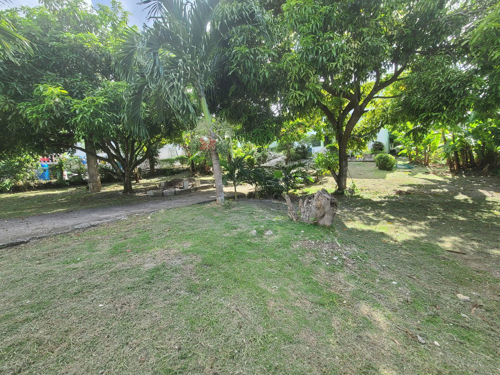 Second image of Laughlands St. Ann in Chester, St. Ann, Jamaica - property is For Sale