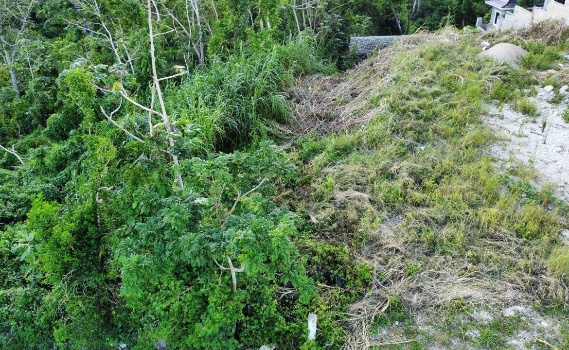 First image of Lot 539 Moorlands Estate in Mandeville, Manchester, Jamaica - property is For Sale