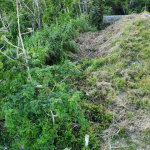 First image of Lot 539 Moorlands Estate in Mandeville, Manchester, Jamaica - property is For Sale