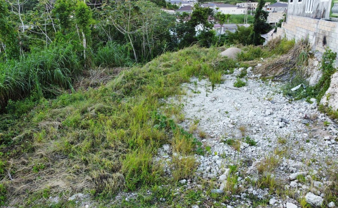 Twenty-Second image of Lot 539 Moorlands Estate in Mandeville, Manchester, Jamaica - property is For Sale