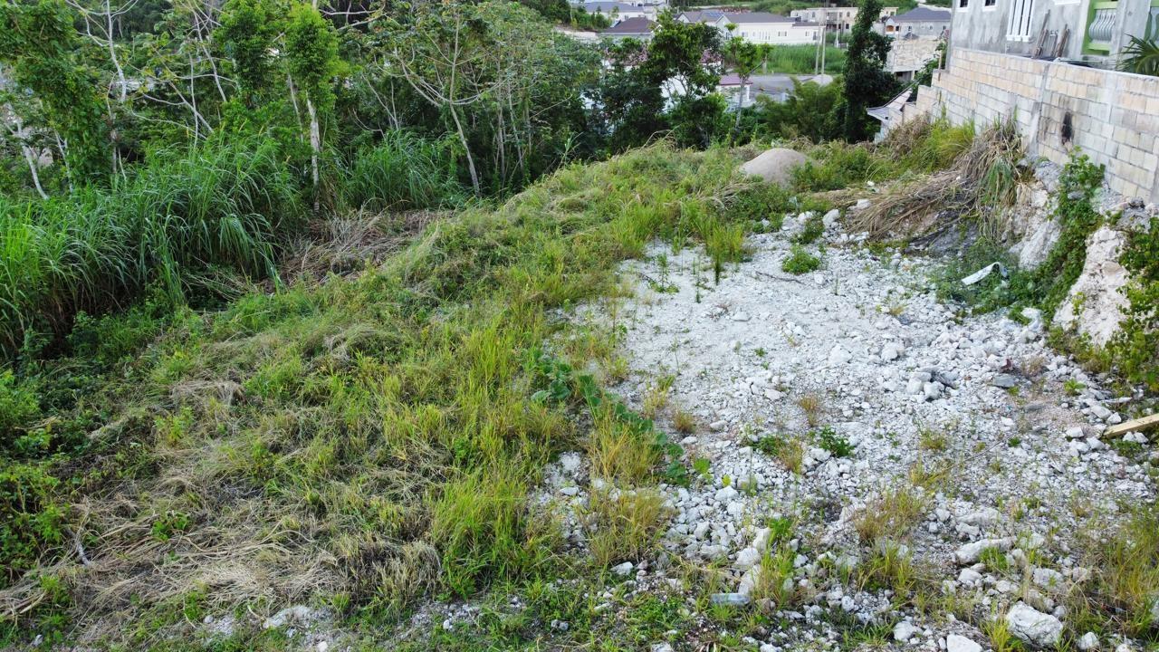 Twenty-Second image of Lot 539 Moorlands Estate in Mandeville, Manchester, Jamaica - property is For Sale