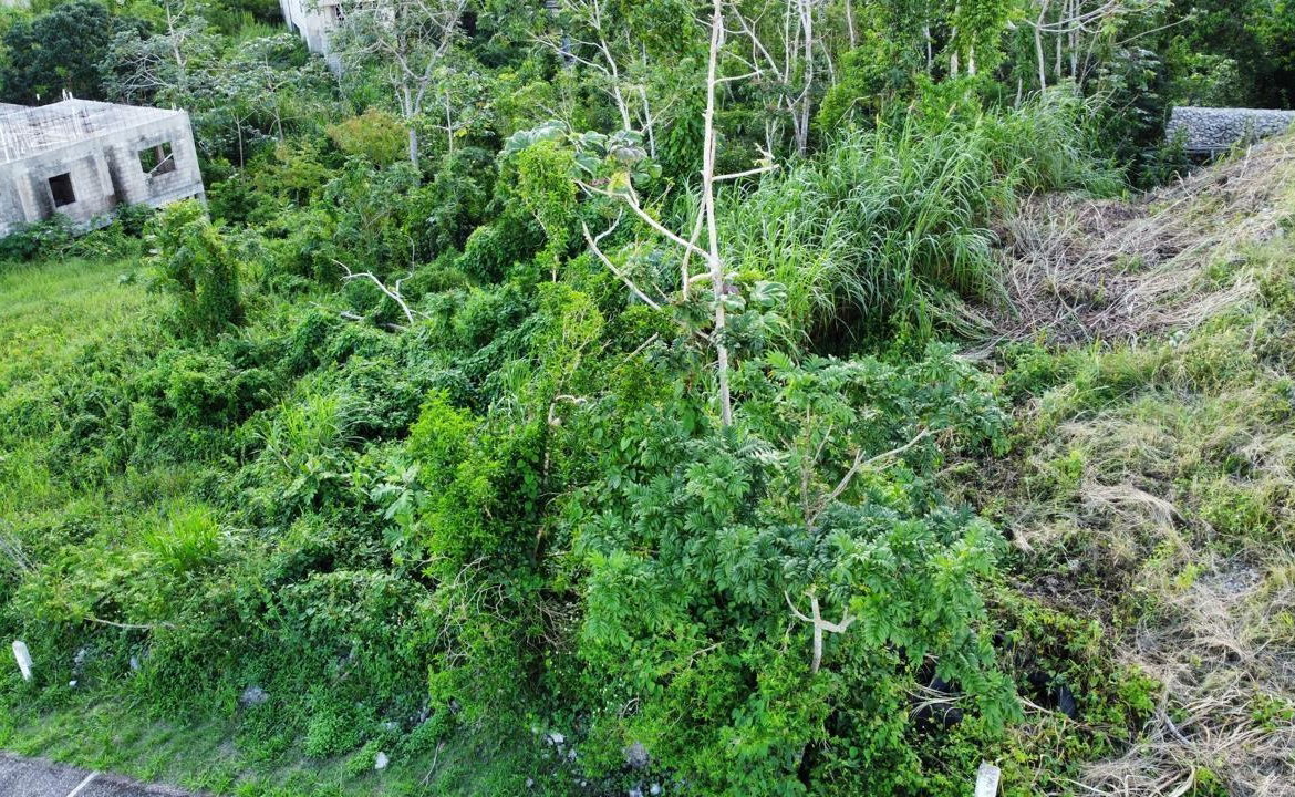 Fourth image of Lot 539 Moorlands Estate in Mandeville, Manchester, Jamaica - property is For Sale