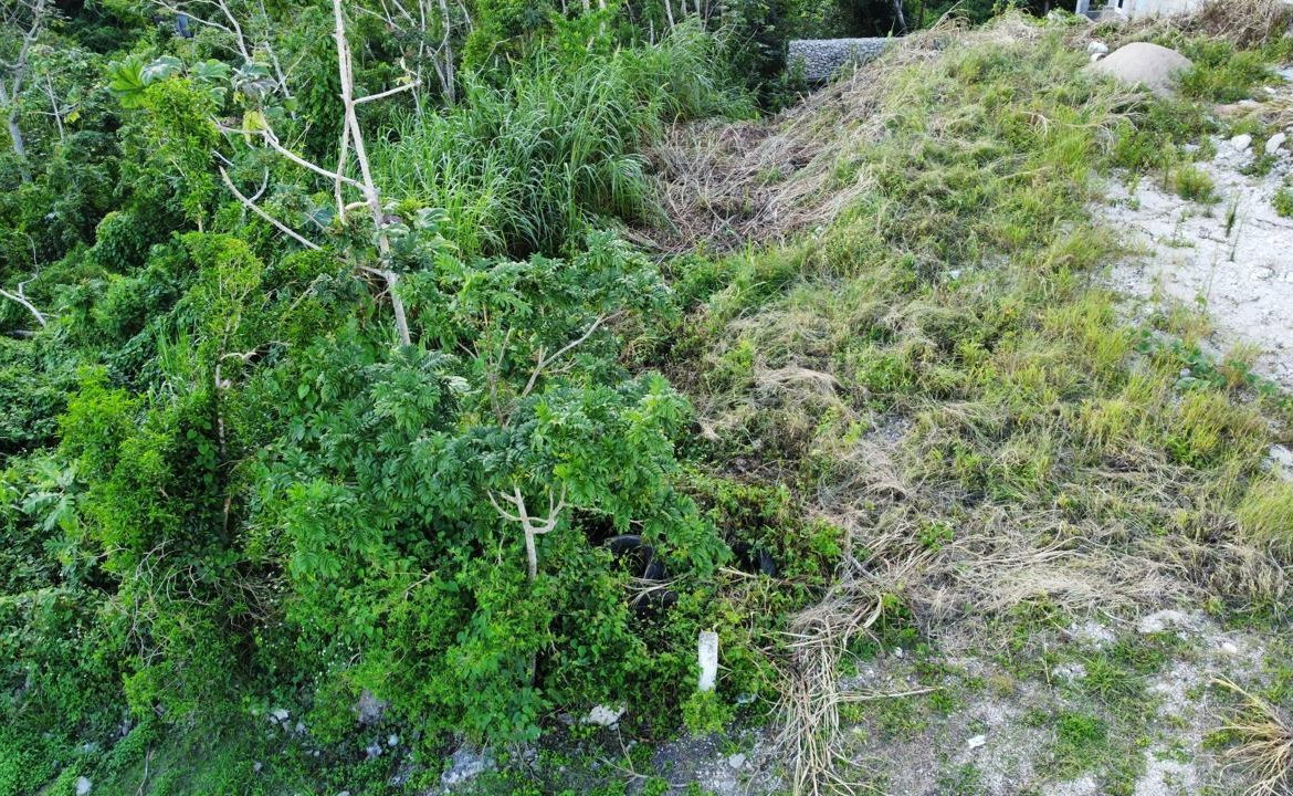 Sixth image of Lot 539 Moorlands Estate in Mandeville, Manchester, Jamaica - property is For Sale