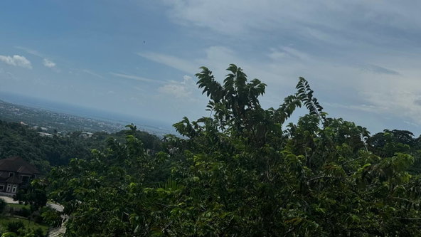 Seventeenth image of Lot 4-2 Diamond Close, Diamond co in STONY HILL, St. Andrew, Jamaica - property is For Sale