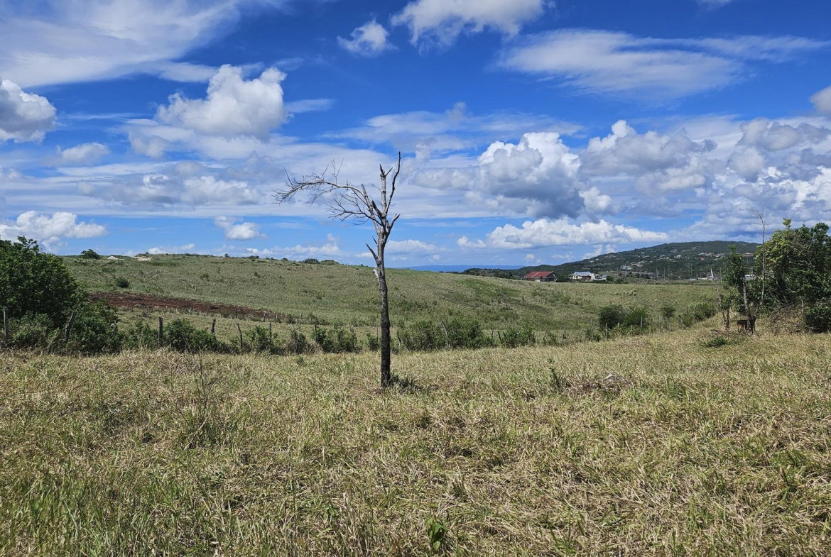 Eleventh image of 71 Newark Grove in Spur Tree, Manchester, Jamaica - property is For Sale