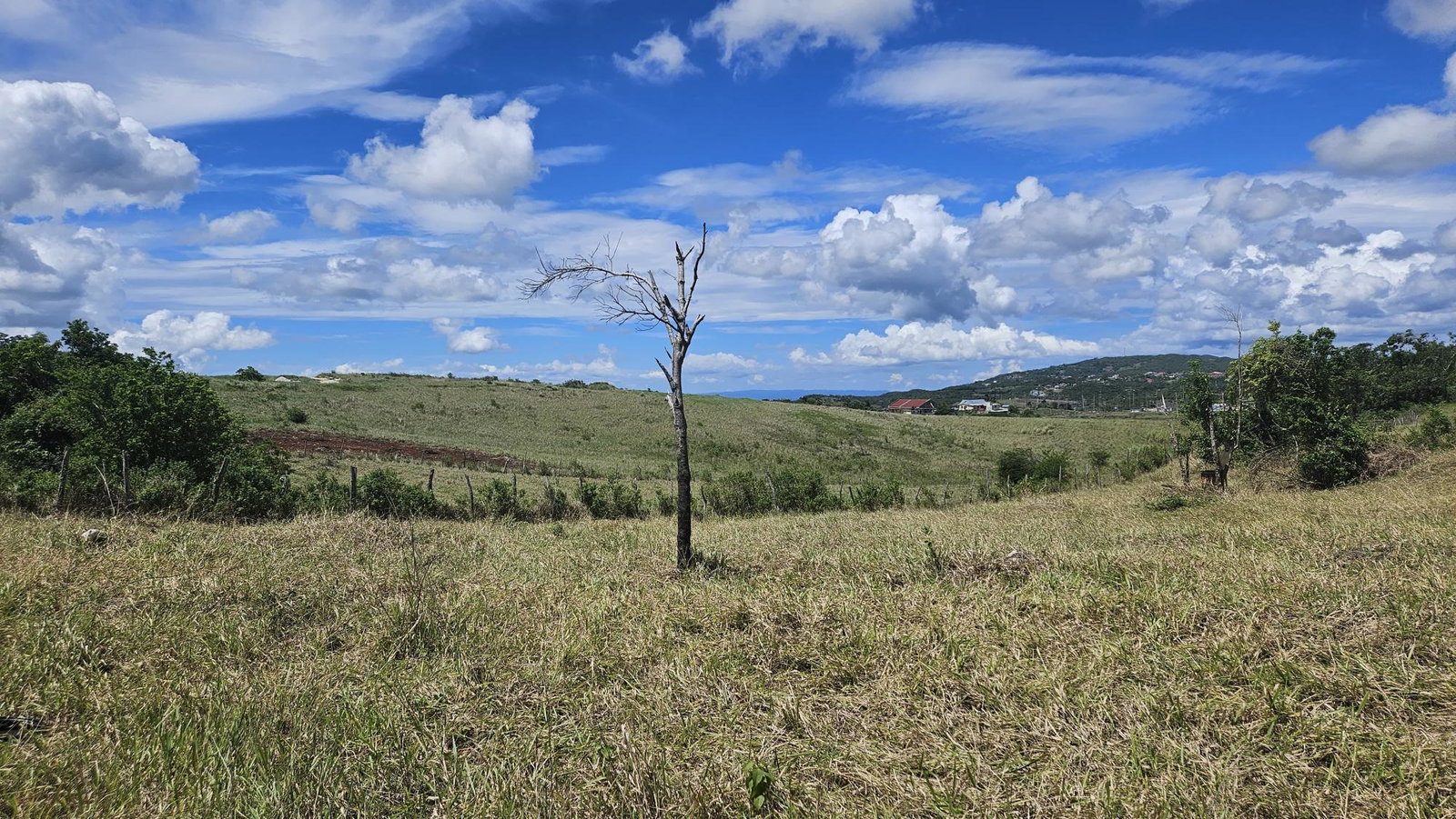 Eleventh image of 71 Newark Grove in Spur Tree, Manchester, Jamaica - property is For Sale