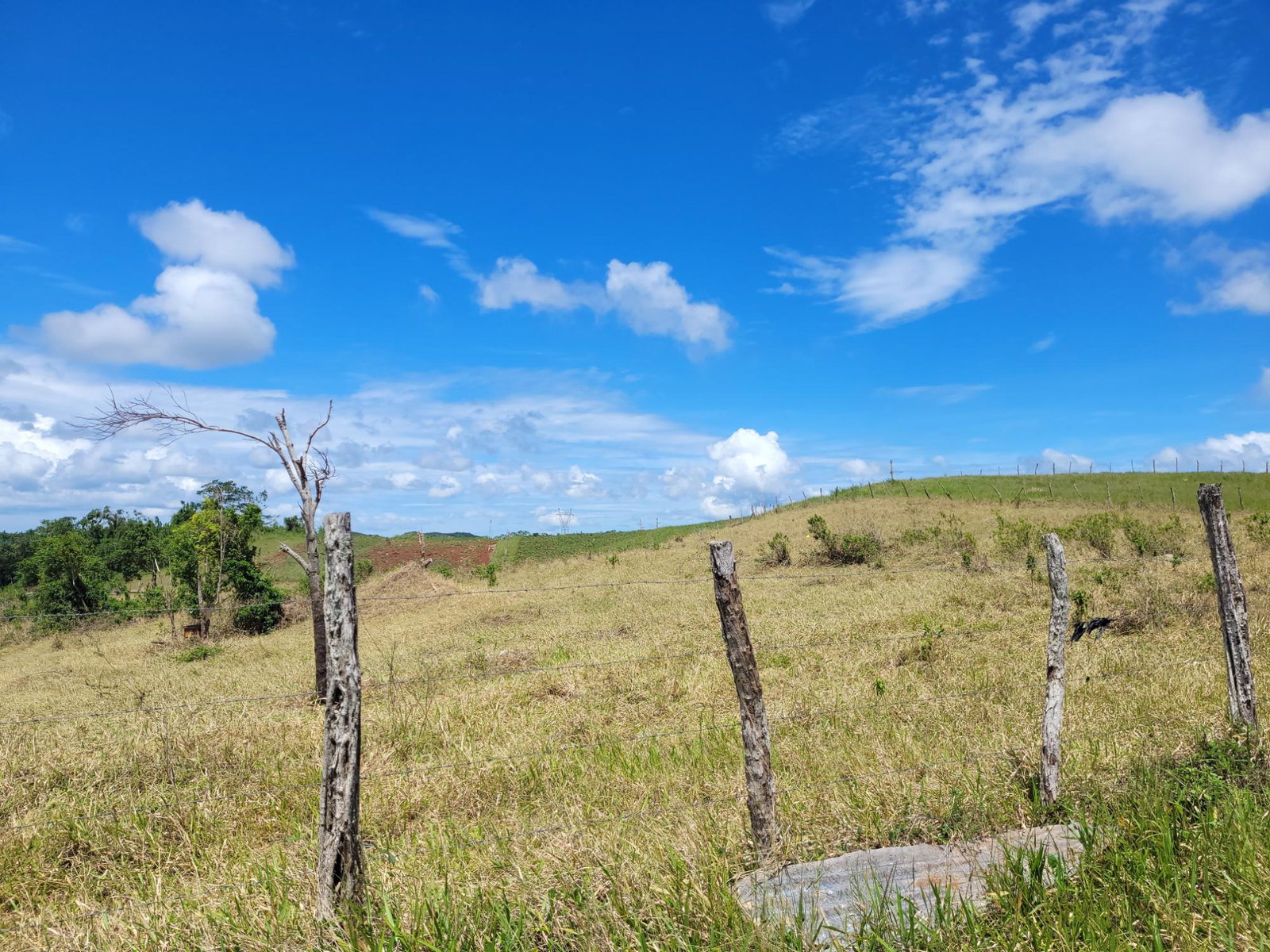 Sixth image of 71 Newark Grove in Spur Tree, Manchester, Jamaica - property is For Sale