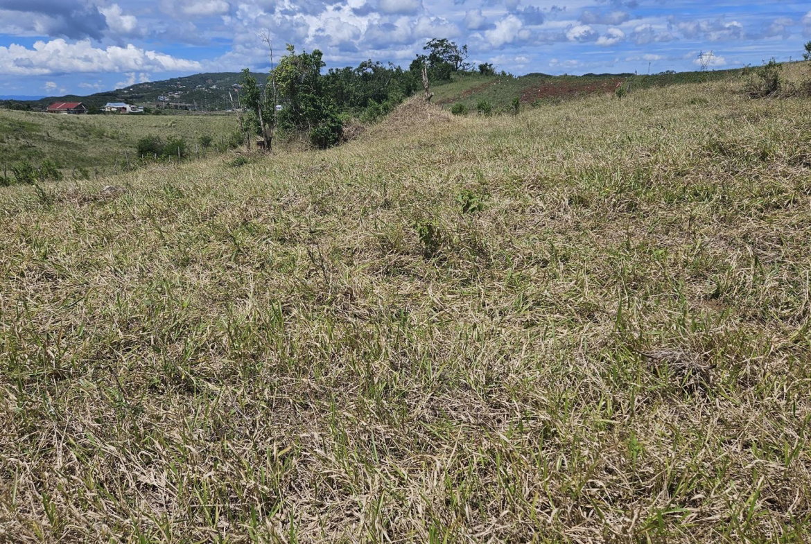 Ninth image of 71 Newark Grove in Spur Tree, Manchester, Jamaica - property is For Sale