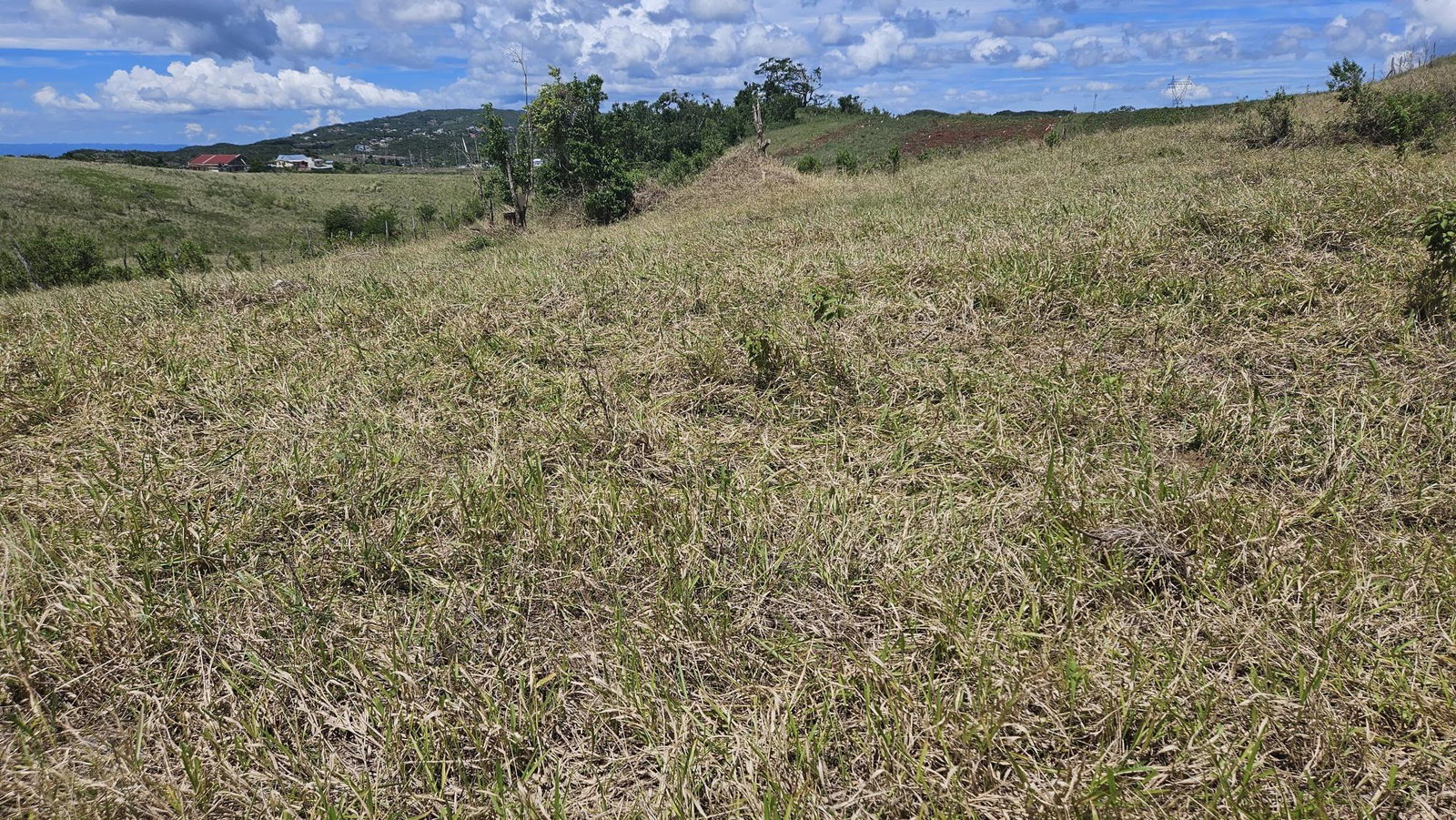Ninth image of 71 Newark Grove in Spur Tree, Manchester, Jamaica - property is For Sale