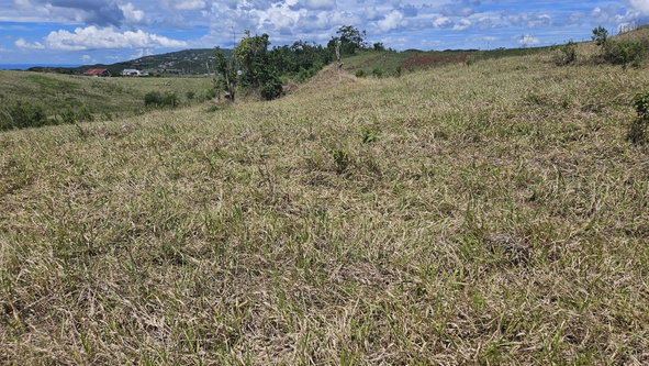 Ninth image of 71 Newark Grove in Spur Tree, Manchester, Jamaica - property is For Sale