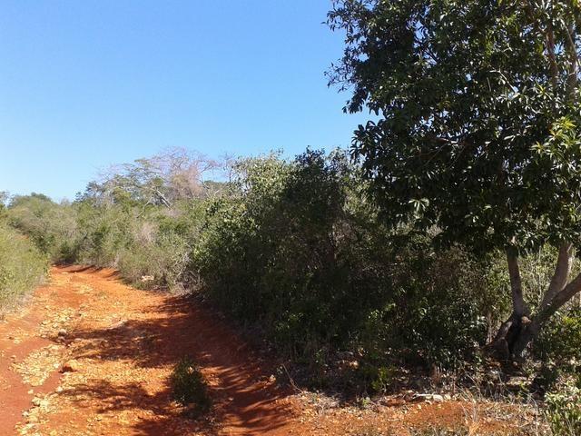 Second image of Part of Happy Grove in Red Hills, St. Andrew, Jamaica - property is For Sale