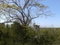 First image of Part of Happy Grove in Red Hills, St. Andrew, Jamaica - property is For Sale