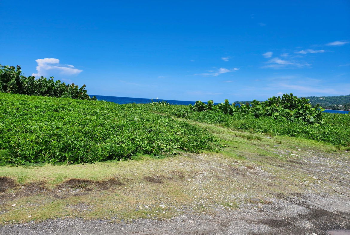 First image of Lot 87- St. Margaret Bay in St. Margaret's Bay, Portland, Jamaica - property is For Sale