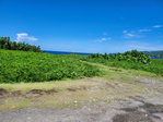 First image of Lot 87- St. Margaret Bay in St. Margaret's Bay, Portland, Jamaica - property is For Sale