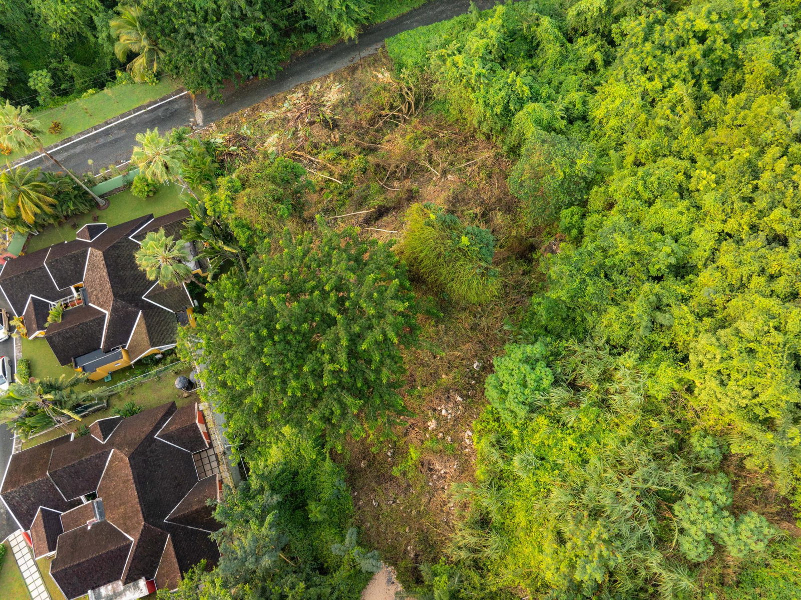 Twelfth image of Lot 30 Cherry Hill Drive in Cherry Gardens, St. Andrew, Jamaica - property is For Sale