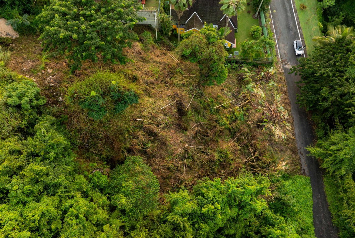 Thirteenth image of Lot 30 Cherry Hill Drive in Cherry Gardens, St. Andrew, Jamaica - property is For Sale