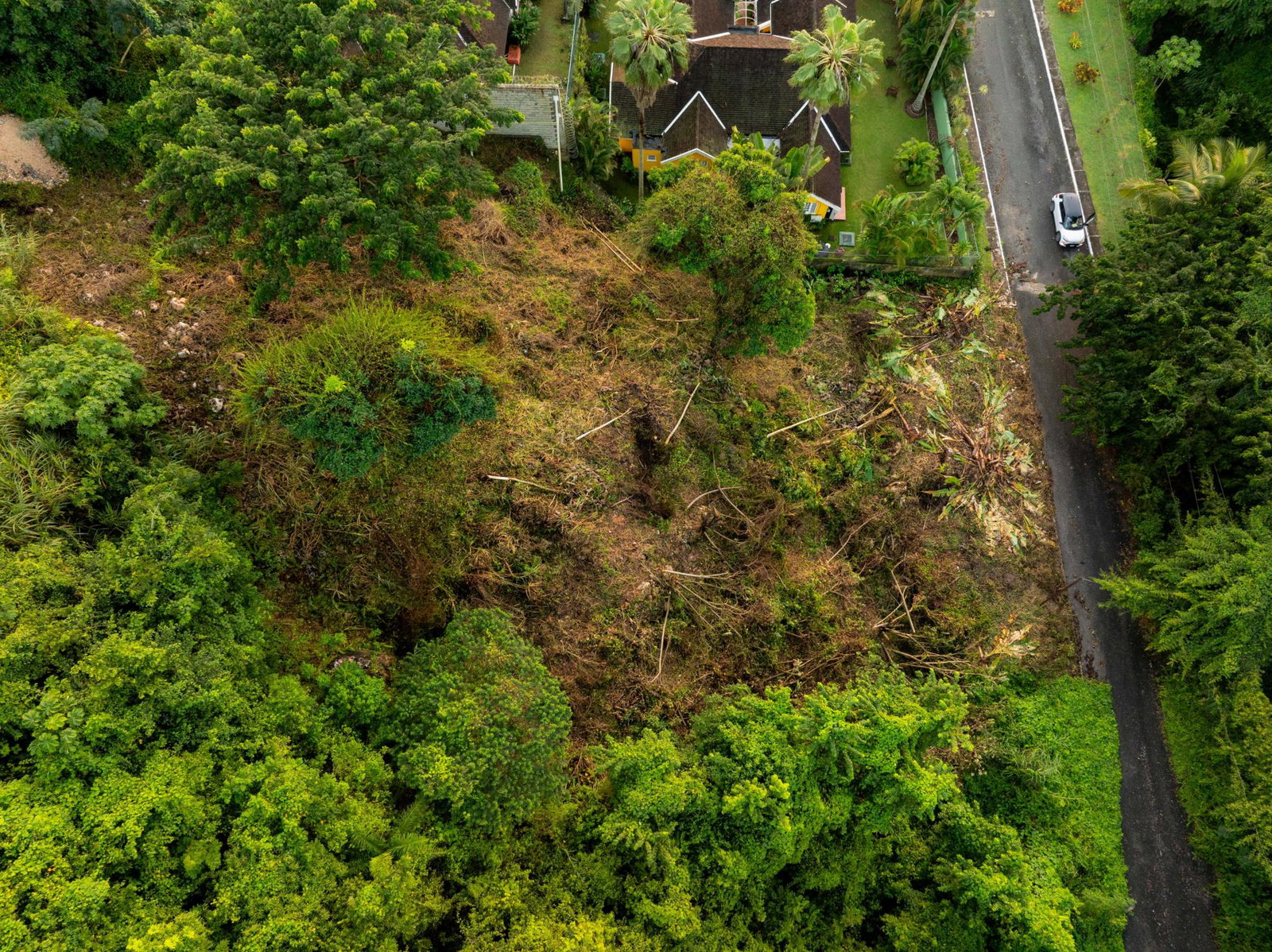 Thirteenth image of Lot 30 Cherry Hill Drive in Cherry Gardens, St. Andrew, Jamaica - property is For Sale