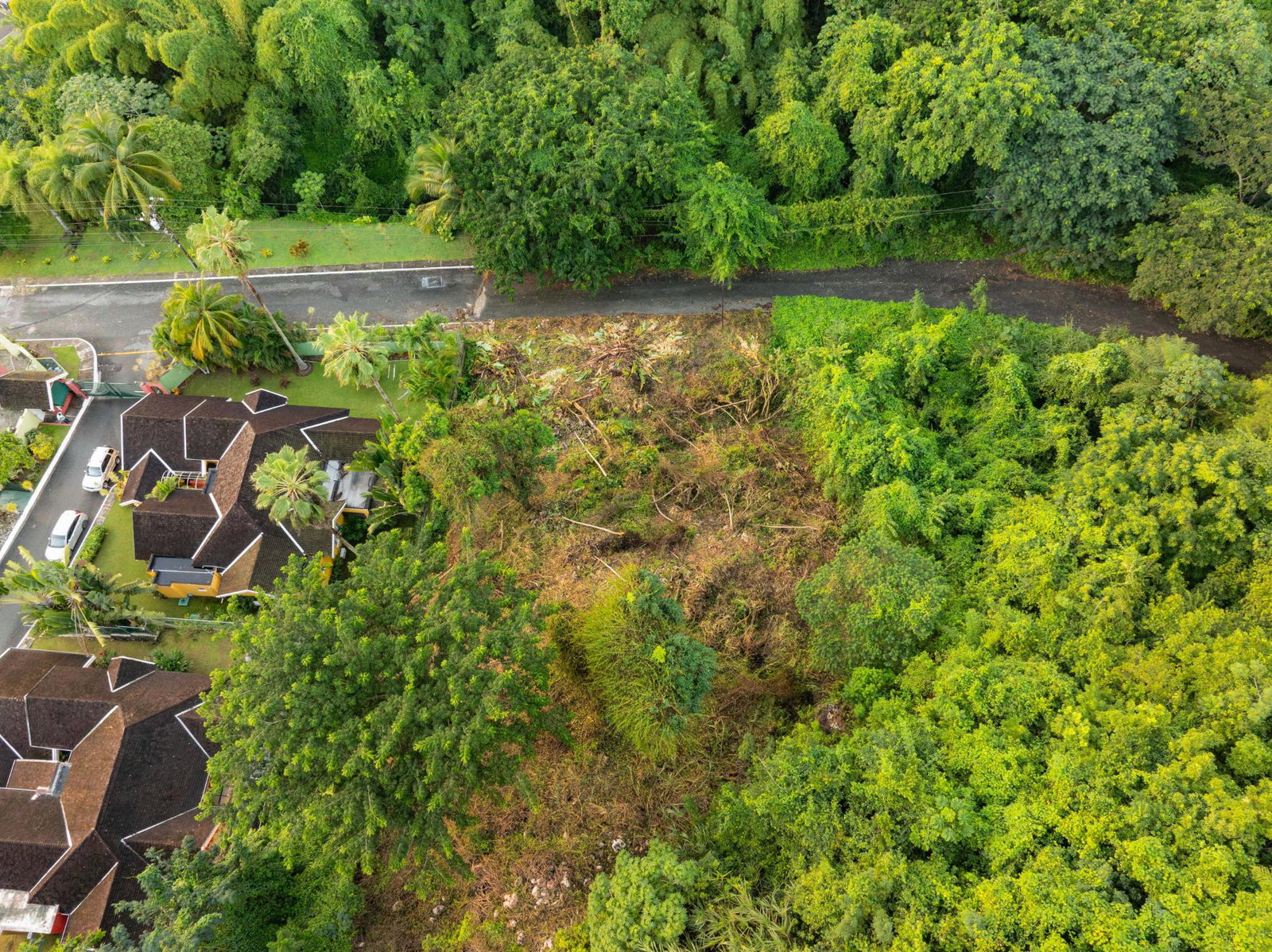 Fifteenth image of Lot 30 Cherry Hill Drive in Cherry Gardens, St. Andrew, Jamaica - property is For Sale