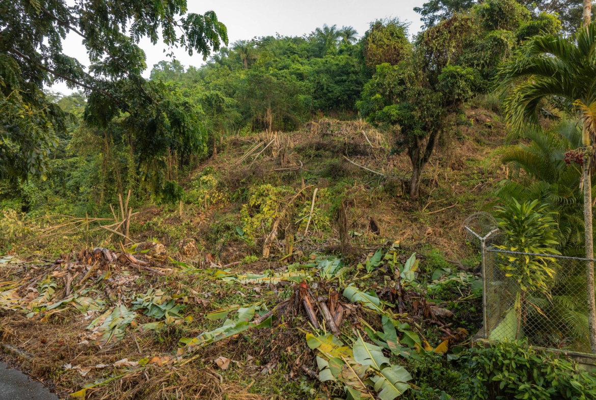 Eighteenth image of Lot 30 Cherry Hill Drive in Cherry Gardens, St. Andrew, Jamaica - property is For Sale