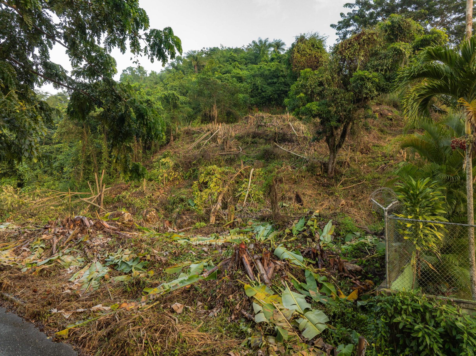 Eighteenth image of Lot 30 Cherry Hill Drive in Cherry Gardens, St. Andrew, Jamaica - property is For Sale