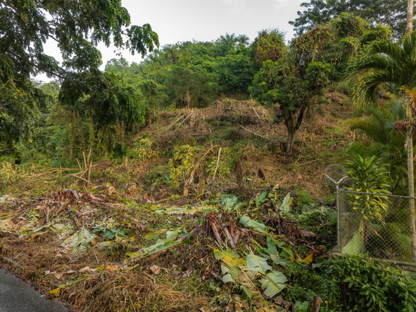 Eighteenth image of Lot 30 Cherry Hill Drive in Cherry Gardens, St. Andrew, Jamaica - property is For Sale