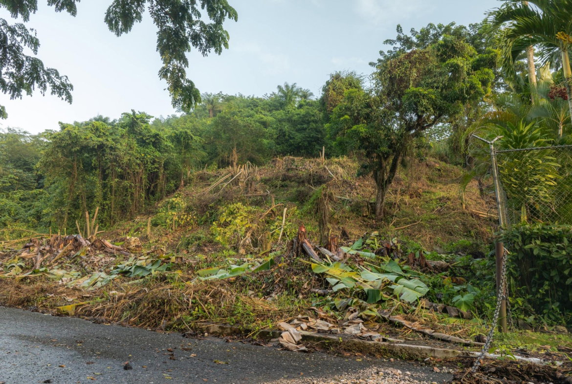 Nineteenth image of Lot 30 Cherry Hill Drive in Cherry Gardens, St. Andrew, Jamaica - property is For Sale