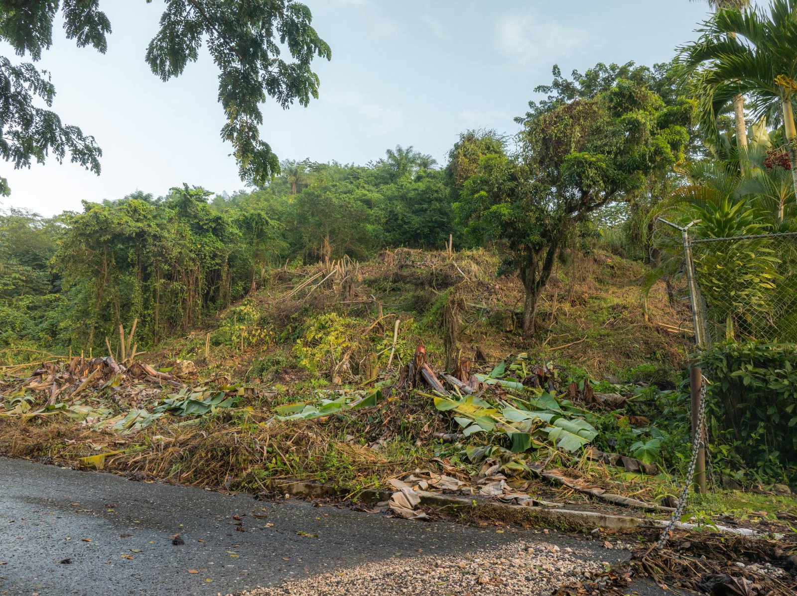 Nineteenth image of Lot 30 Cherry Hill Drive in Cherry Gardens, St. Andrew, Jamaica - property is For Sale