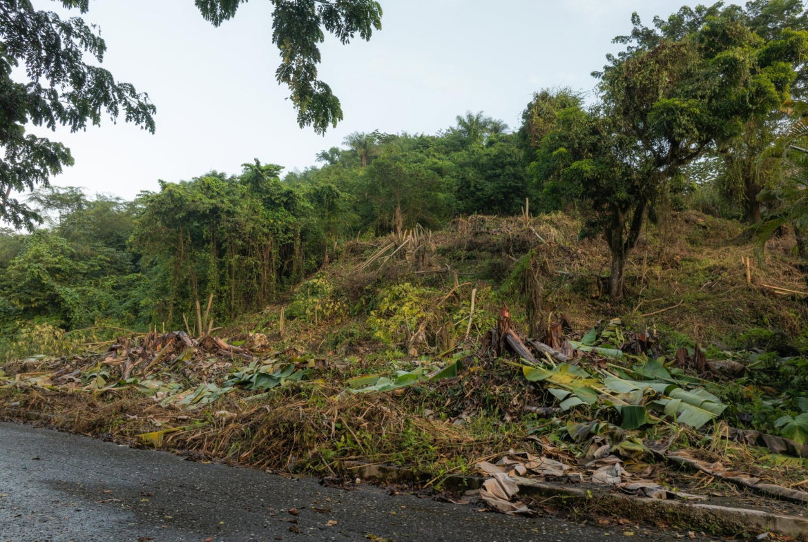 Twentieth image of Lot 30 Cherry Hill Drive in Cherry Gardens, St. Andrew, Jamaica - property is For Sale