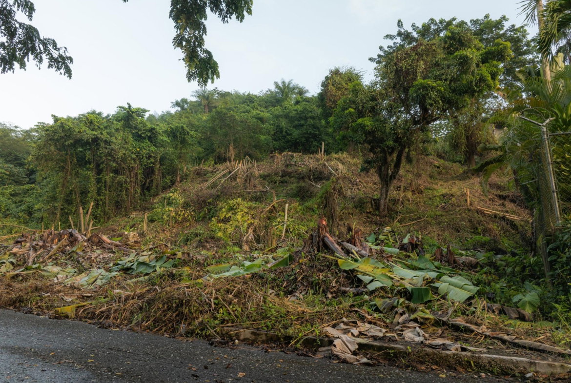 Twenty-First image of Lot 30 Cherry Hill Drive in Cherry Gardens, St. Andrew, Jamaica - property is For Sale