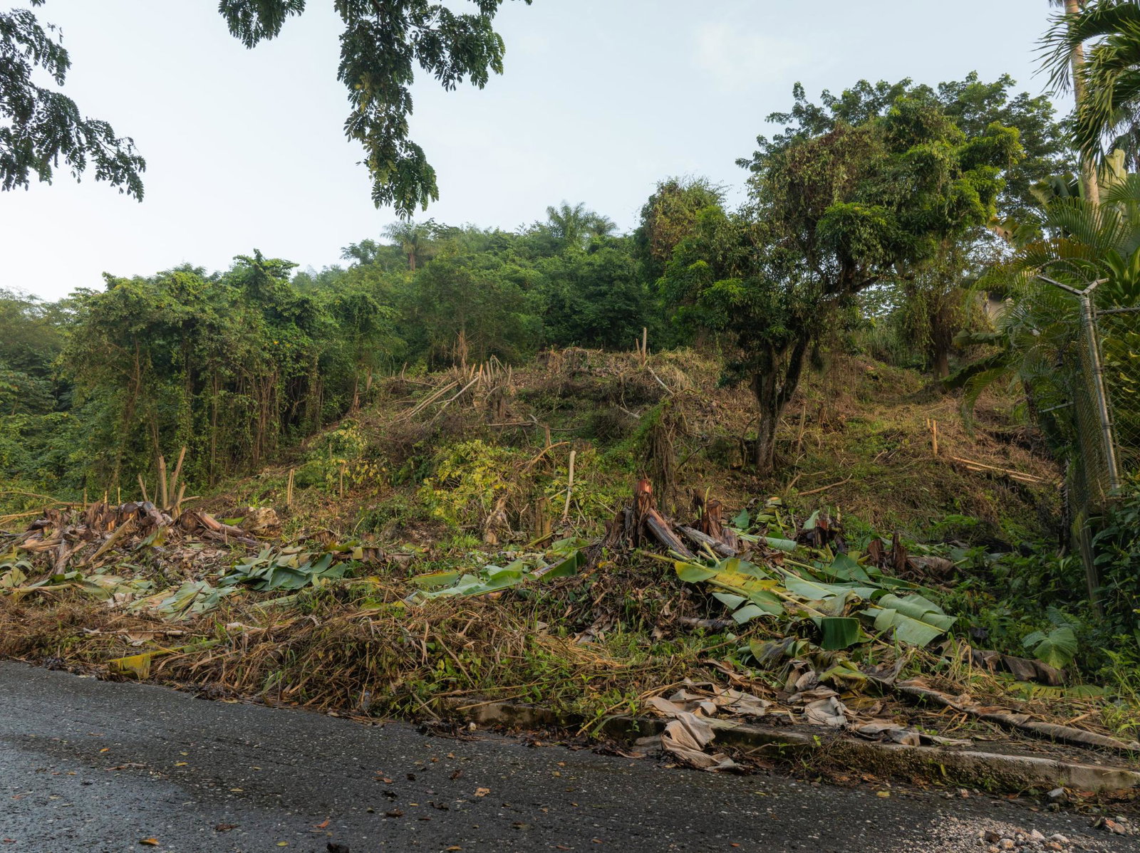 Twenty-First image of Lot 30 Cherry Hill Drive in Cherry Gardens, St. Andrew, Jamaica - property is For Sale