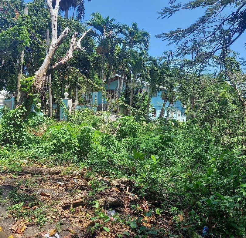 Fifteenth image of Lot 10 Shaw Park (milford Rd. oc in Ocho Rios, St. Ann, Jamaica - property is For Sale