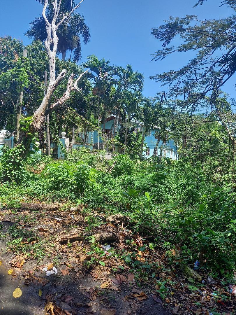 Fifteenth image of Lot 10 Shaw Park (milford Rd. oc in Ocho Rios, St. Ann, Jamaica - property is For Sale