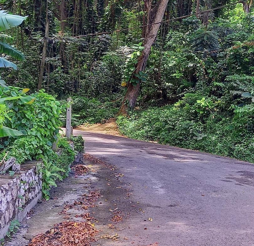 Seventeenth image of Lot 10 Shaw Park (milford Rd. oc in Ocho Rios, St. Ann, Jamaica - property is For Sale