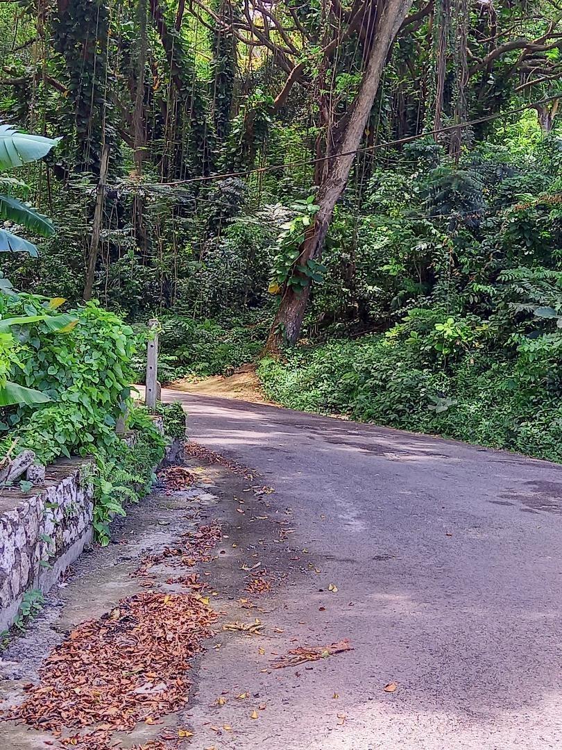 Seventeenth image of Lot 10 Shaw Park (milford Rd. oc in Ocho Rios, St. Ann, Jamaica - property is For Sale
