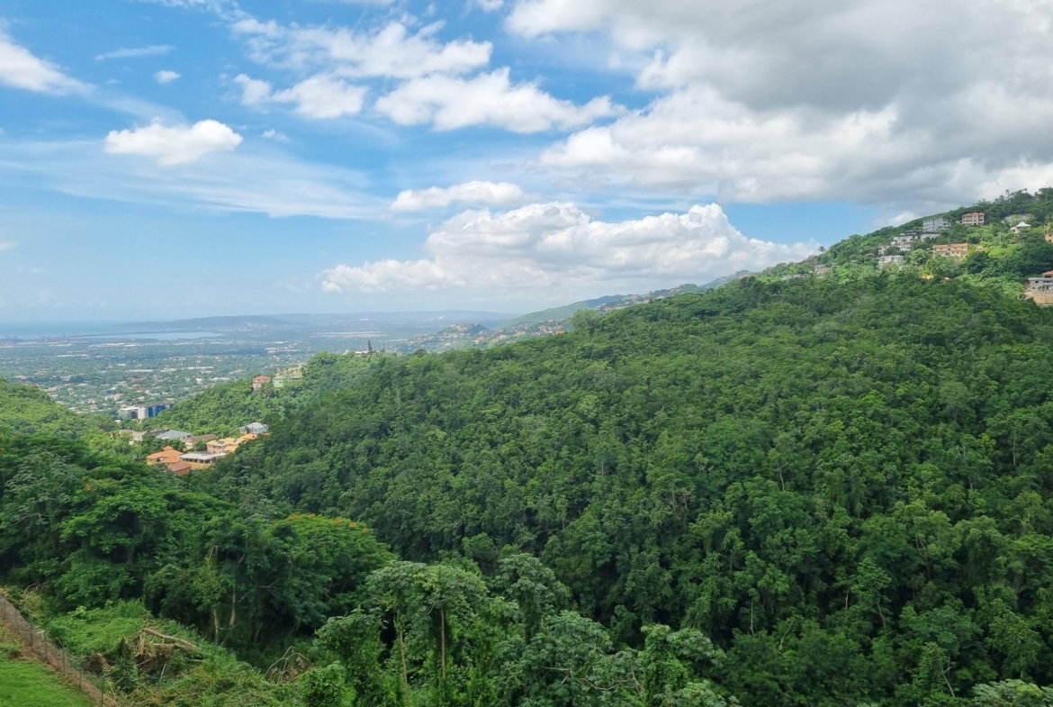 Thirteenth image of Old Stony Hill Road in Kingston 9, St. Andrew, Jamaica - property is For Sale