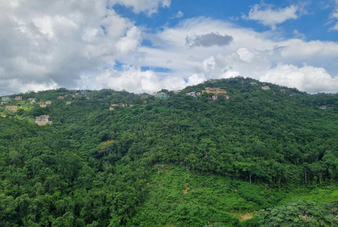 Fourteenth image of Old Stony Hill Road in Kingston 9, St. Andrew, Jamaica - property is For Sale