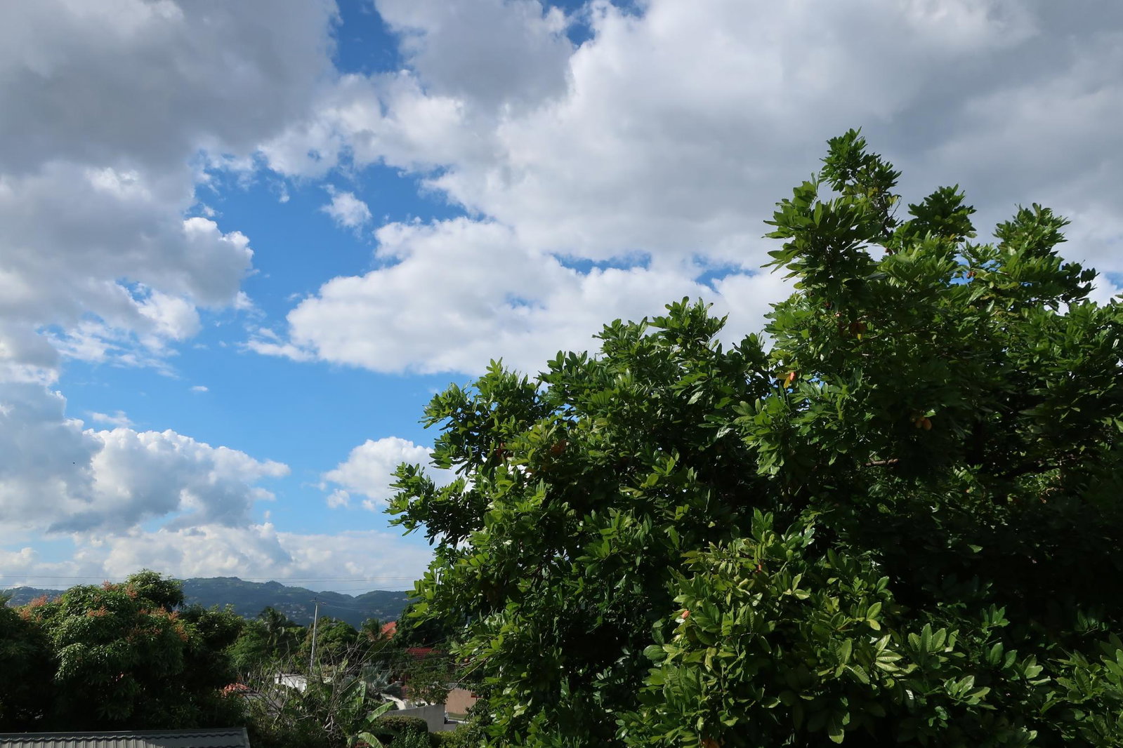 Eighth image of Apt. 8-3 Evans Avenue in Kingston 8, St. Andrew, Jamaica - property is For Sale