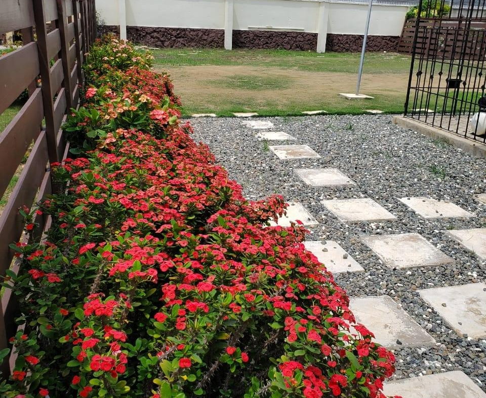 Nineteenth image of 4 Morgans Drive, Bay Front in Bridgeport, St. Catherine, Jamaica - property is For Sale