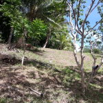 First image of Lot # 1547 Sheckles, Clarendon in Frankfield, Clarendon, Jamaica - property is For Sale