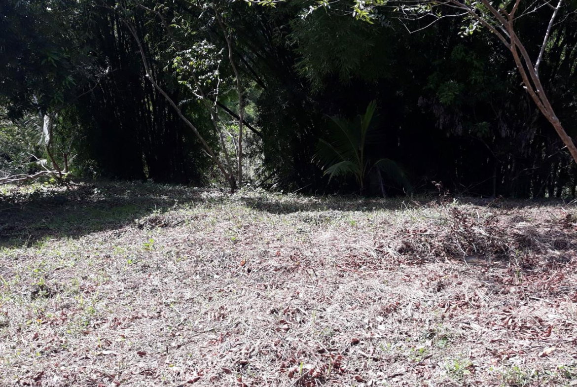Ninth image of Lot # 1547 Sheckles, Clarendon in Frankfield, Clarendon, Jamaica - property is For Sale