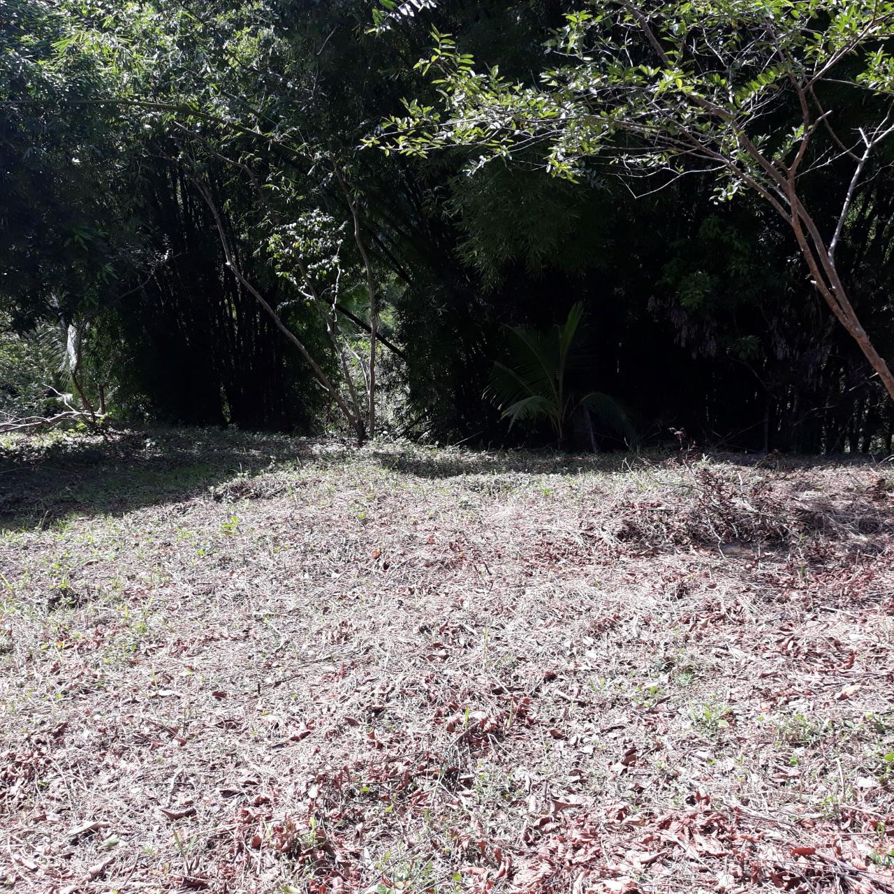 Ninth image of Lot # 1547 Sheckles, Clarendon in Frankfield, Clarendon, Jamaica - property is For Sale
