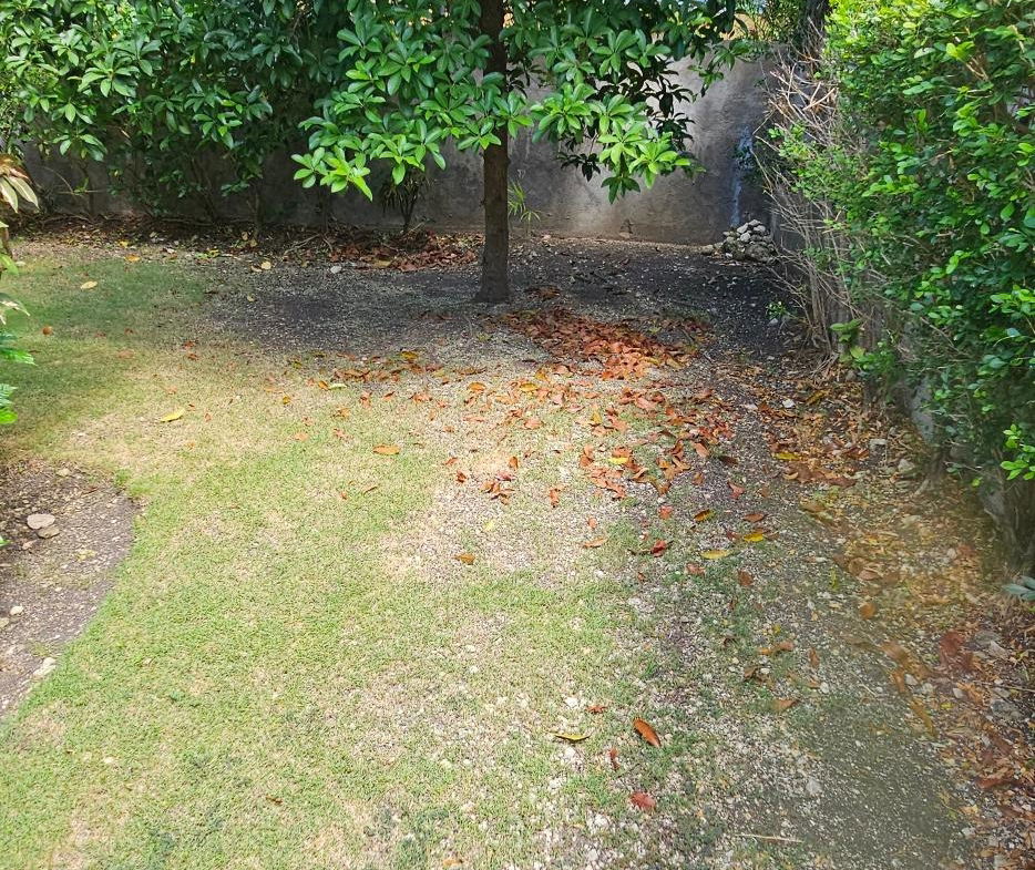 Fifteenth image of 449 Coolshade in St. Ann's Bay, St. Ann, Jamaica - property is For Sale