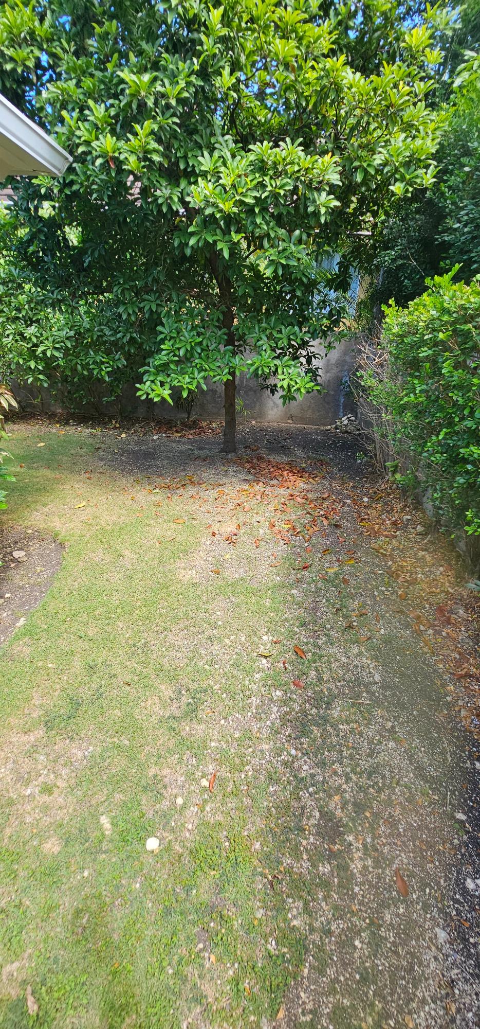Fifteenth image of 449 Coolshade in St. Ann's Bay, St. Ann, Jamaica - property is For Sale